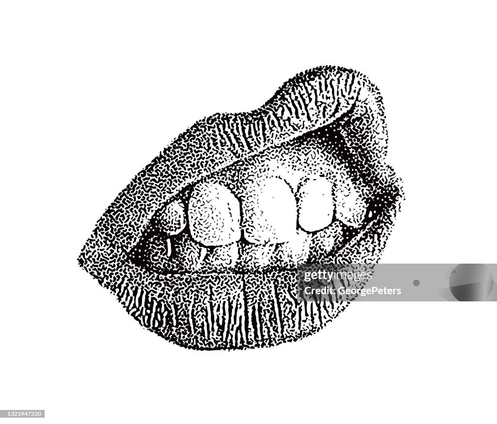 Close up of woman's lips and teeth