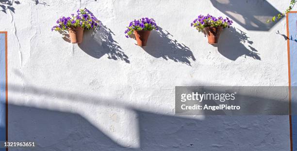 window, facade, door, flowers, colours, unintentional street art - wall hanging stock pictures, royalty-free photos & images