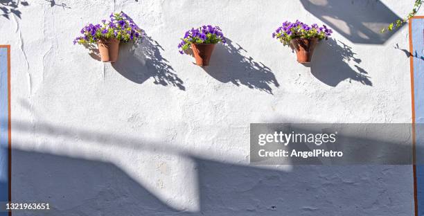 window, facade, door, flowers, colours, unintentional street art - panô - fotografias e filmes do acervo