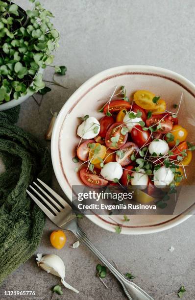 tomato salad with mozzarella - cheese salad stock-fotos und bilder