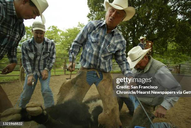 Roundup197_mac.jpg Ranchers l to r- Russell Piazza, Jim Goff, Lucky Gravette and Scott Beyer process a calf. Lucky Gravette, 71 of Livermore, a...