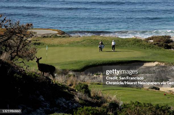 James Driscoll, plays the par-3, 3rd hole at Spyglass Hill, on the last day of practice rounds before the start of the AT&T Pebble Beach National...