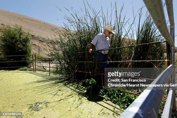 Darrel Sweet, a member of the Board of Directors for the California Ranchland Trust, at a year-round stock pond which is home to the red-legged frog...