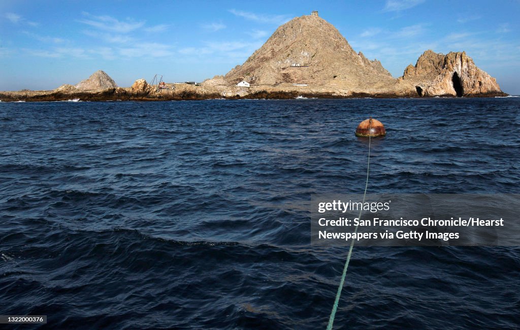 South east Farallon Island, on Wednesday October 12, 2011, off the coast of San Francisco, Ca. Efforts to control the non-native house mice problem in the Farallon Islands have failed. Officials say the mouse population has grown so large that they have a