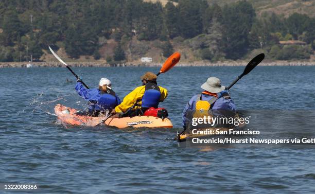 Kayakers paddle out from Tomales Bay State Park, in Marin County, Ca., on Saturday July 21 2012. California State Parks have found $54 million which...