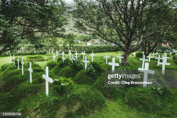 cemetery near hofskirkja church in hof village, iceland - place concerning death 個照片及圖片檔