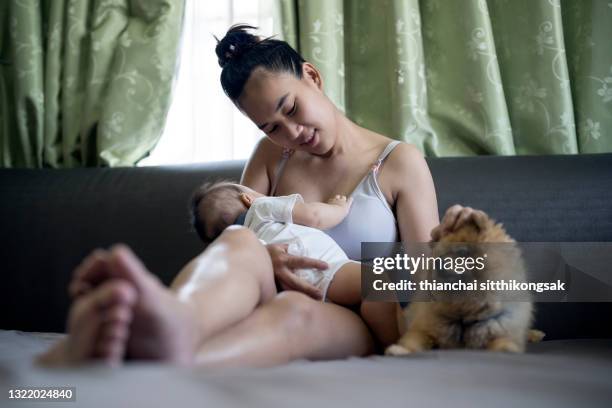 mother breastfeeding her baby in living room - asian baby eating stock pictures, royalty-free photos & images