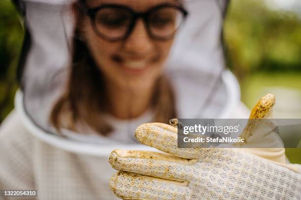 meine gesunden bienen - beekeeper stock-fotos und bilder