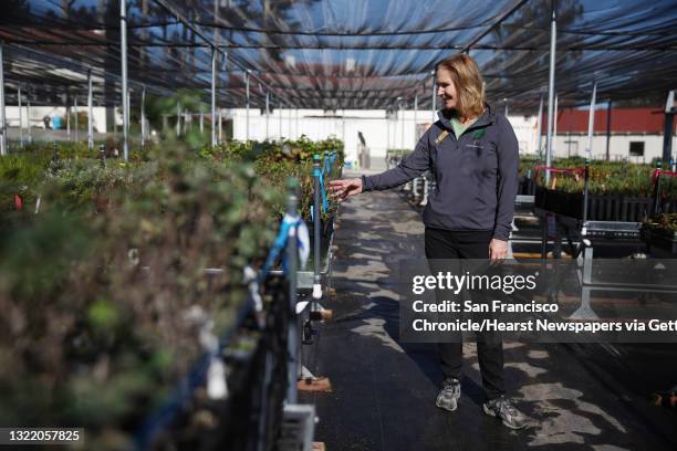Terri Thomas, the director of conservation, stewardship and research at Presidio Trust, walks through a greenhouse at the Presidio Native Plant...