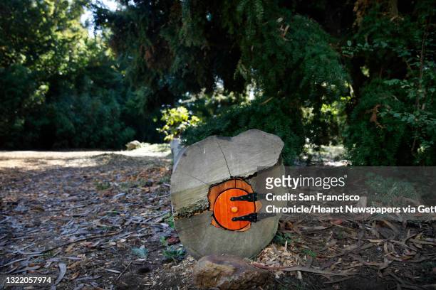 Second tiny door is seen installed in a eucalyptus log west of the Japanese Tea Garden on Monday, September 23, 2013 in San Francisco, Calif.