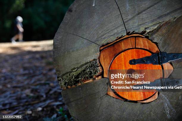Second tiny door is seen installed in a eucalyptus log west of the Japanese Tea Garden on Monday, September 23, 2013 in San Francisco, Calif.
