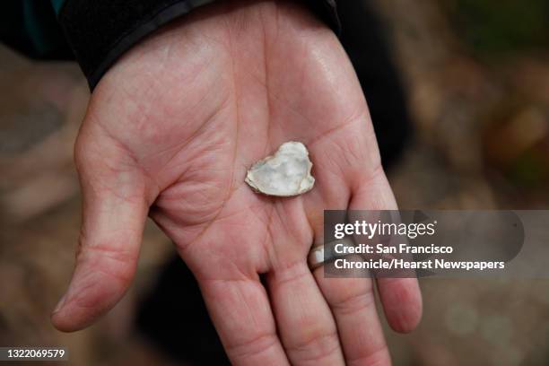 Stlt Shellmound 63 Shellmound Stock Photos, High-Res Pictures, and Images - Getty Images