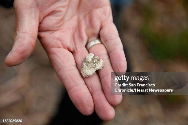 Shellmound Sf Shellmound Photos and Premium High Res Pictures - Getty Images