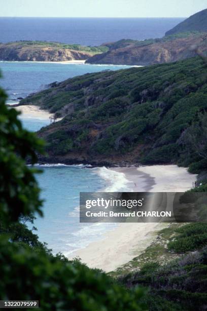 64 île Moustique Stock Photos, HighRes Pictures, and Images Getty Images
