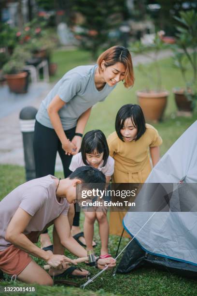 asiatico padre cinese allevare tenda da campeggio con l'aiuto della sua famiglia nel cortile di casa sua durante il fine settimana - picchetto da tenda foto e immagini stock