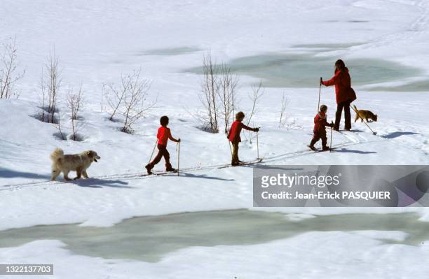 Une mère et ses enfants font une promenade en ski de fond avec leurs chiens Alaska, Etats-Unis.