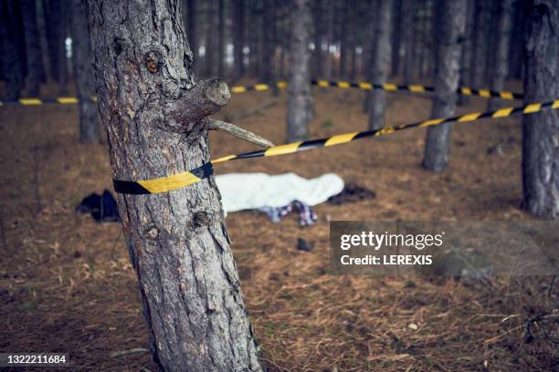 murder in the woods - knife case stock pictures, royalty-free photos & images