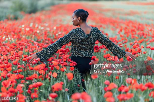 mid adult woman touching flowers in poppy field - stehmohn stock-fotos und bilder