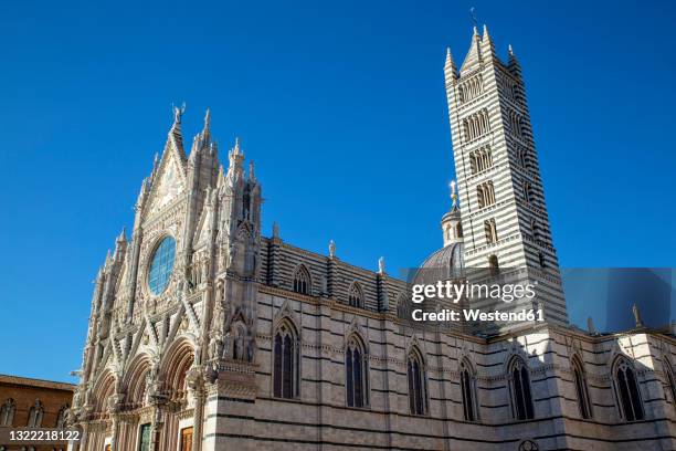 italy, tuscany, siena, clear sky over siena cathedral - kathedraal van siena stockfoto's en -beelden