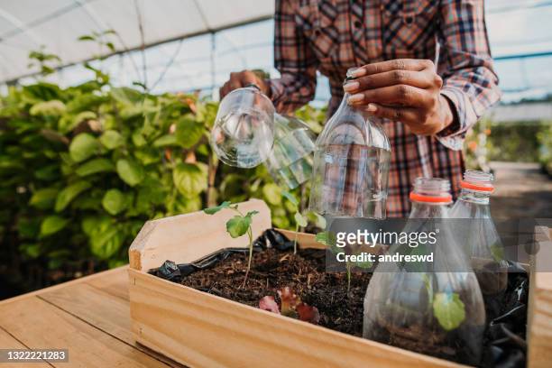 reusing plastic to plant cultivate sustainability - environmental issues stock pictures, royalty-free photos & images