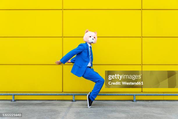 man wearing vibrant blue suit and bear mask standing en pointe against yellow wall - blue bear stock-fotos und bilder