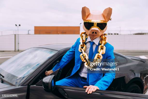 funny character wearing animal mask and blue business suit getting in car - status symbol stock pictures, royalty-free photos & images