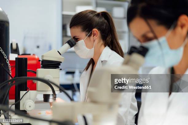 female scientists looking through microscope while examining medical samples in laboratory during pandemic - infection prevention stockfoto's en -beelden