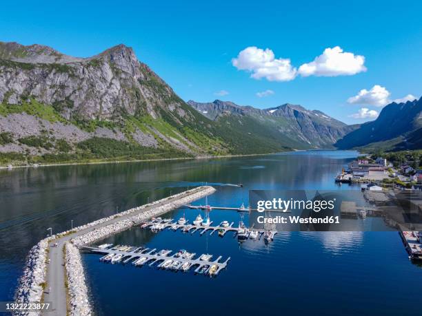 norway, troms og finnmark, gryllefjord, aerial view of harbor of fishing village located along gryllefjorden on senja island - senja stockfoto's en -beelden