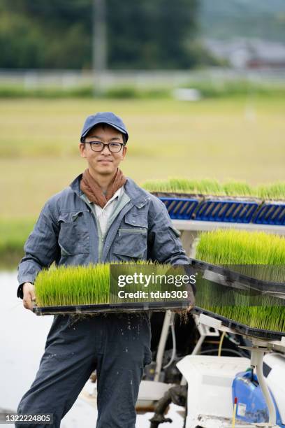 porträt eines mittleren erwachsenen mannes, der seine reisernte anpflanzen will - satoyama scenery stock-fotos und bilder