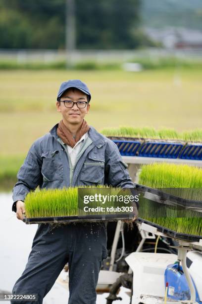 一個中年男子準備種植水稻作物的肖像 - satoyama scenery 個照片及圖片檔