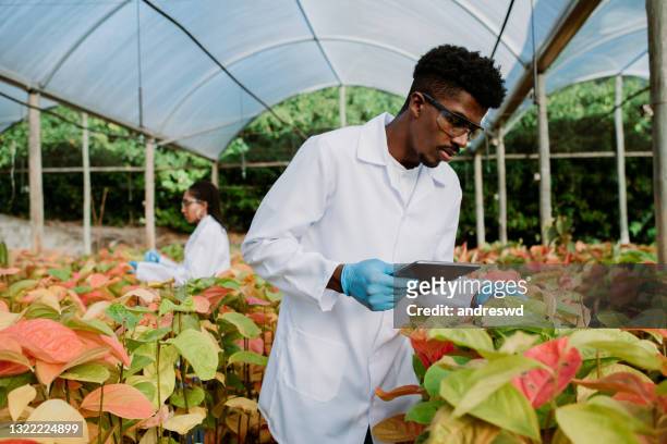 homens analisando a ciência das plantas - black glove - fotografias e filmes do acervo