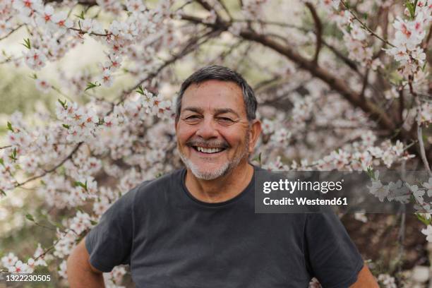 smiling senior man in front of tree - poträt mann frühling stock-fotos und bilder