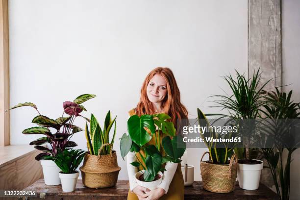 smiling redhead woman holding potted plant at home - sansevieria ストックフォトと画像