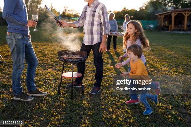 happy little kids running during family's barbecue day in the backyard. - bbq family park imagens e fotografias de stock