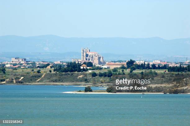 narbonne, the city and its cathedral seen from bages. - narbonne stockfoto's en -beelden