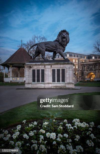 the reading lion - lion statue stock pictures, royalty-free photos & images