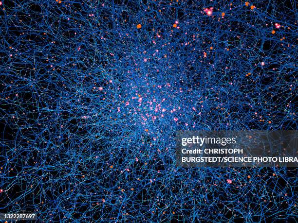 illustrations, cliparts, dessins animés et icônes de network, illustration - neurone