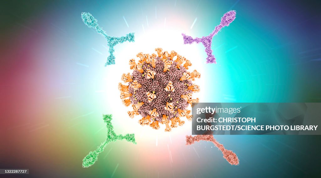 Antibodies attacking virus particle, illustration