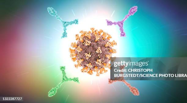 antibodies attacking virus particle, illustration - antikörper stock-grafiken, -clipart, -cartoons und -symbole