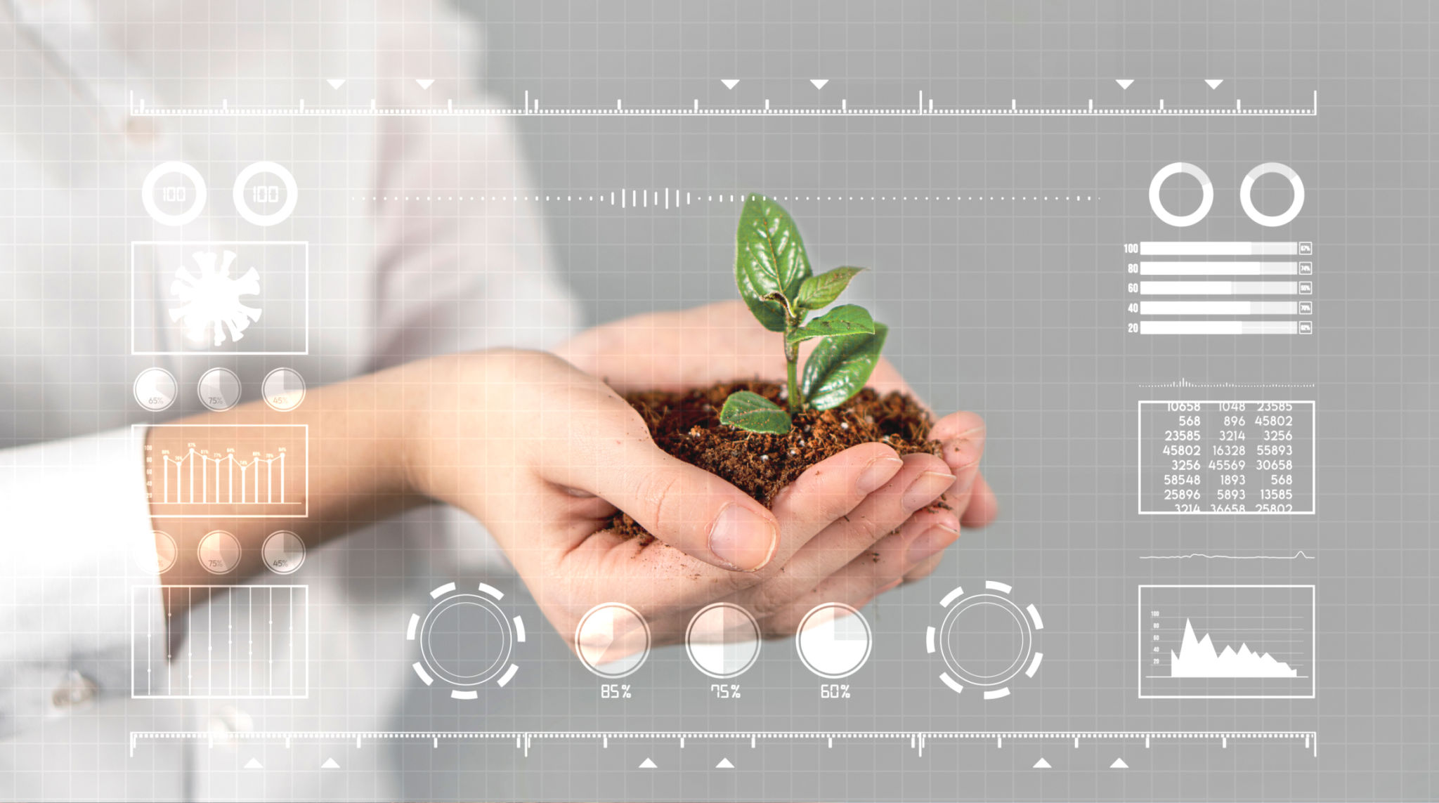 Mujer sosteniendo una planta verde dentro de sus manos. Ecología, calentamiento global, cambio climático, agricultura, conceptos de contaminación ambiental. Mujeres con fondo borroso sosteniendo y tocando la proyección holográfica de una planta con an Mujer sosteniendo una planta verde dentro de sus manos. Ecología, calentamiento global, cambio climático, agricultura, conceptos de contaminación ambiental. Mujeres con fondo borroso sosteniendo y tocando la proyección holográfica de una planta con an