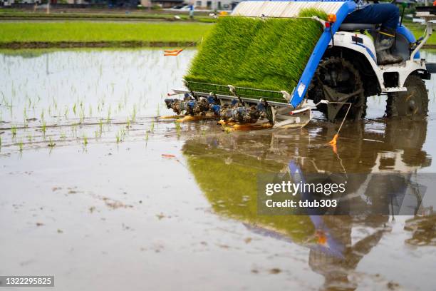 Machine For Rice Fieldd Rice Tractor Photos and Premium High Res Pictures - Getty Images