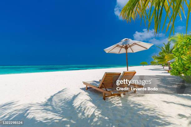 amazing beach sunset, tropical coast, shore with sea view. tranquil blue sunny sky with green palm green leaves. beach scene with relaxing mood. idyllic tropical landscape wide angle views - bora bora beach stock pictures, royalty-free photos & images