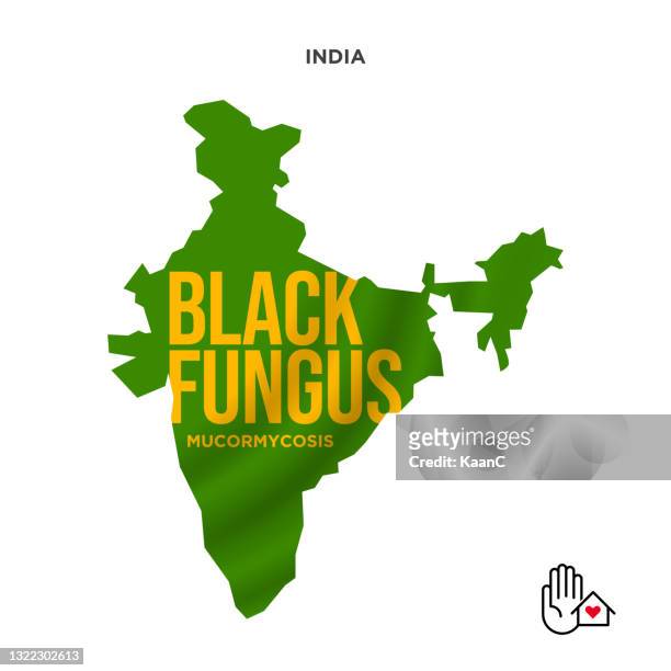 black fungus or mucormycosis stock illustration - aspergillus fumigatus stock illustrations