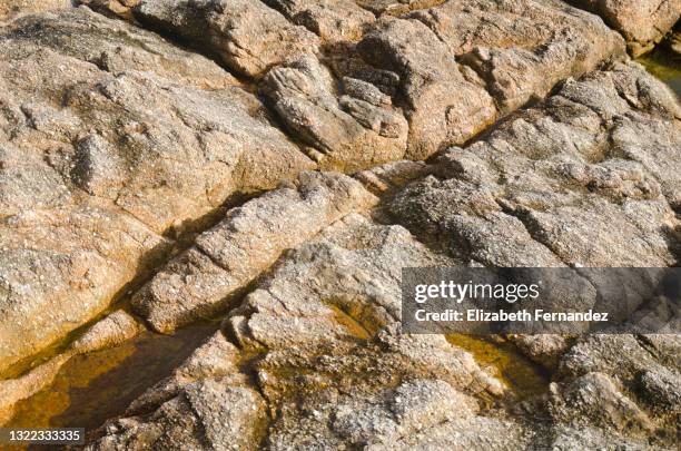 Side Beach Rocks Texture 7,952 Beach Rocks Texture Stock Photos, High-Res Pictures, and Images ...
