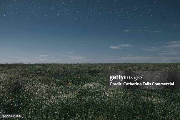 green field at dusk - moody sky ストックフォトと画像