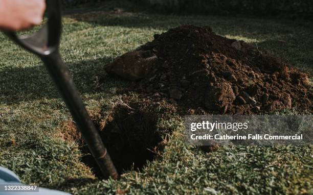 person digging a hole in a garden with a spade - land mine stock-fotos und bilder