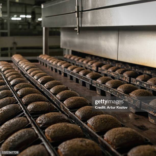 bakery factory for baking bread. whole loaves of dark or black bread in rows. fresh baked whole grain bread. food concept. square format or 1x1 for posting on social media. soft focus - boulangerie industrielle photos et images de collection