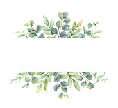 Watercolor vector wreath of green branches and leaves isolated on a white background. Flower hand painted illustration for greeting cards, wedding invitations, banner with space for text and more.