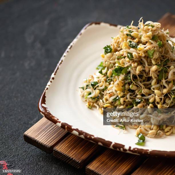 sprouted lentil salad with herbs. germination of seed sprouts. nutritious plant foods rich in vitamins and protein. healthy lifestyle. superfood concept. side top view. copy space at left - germinating stock pictures, royalty-free photos & images