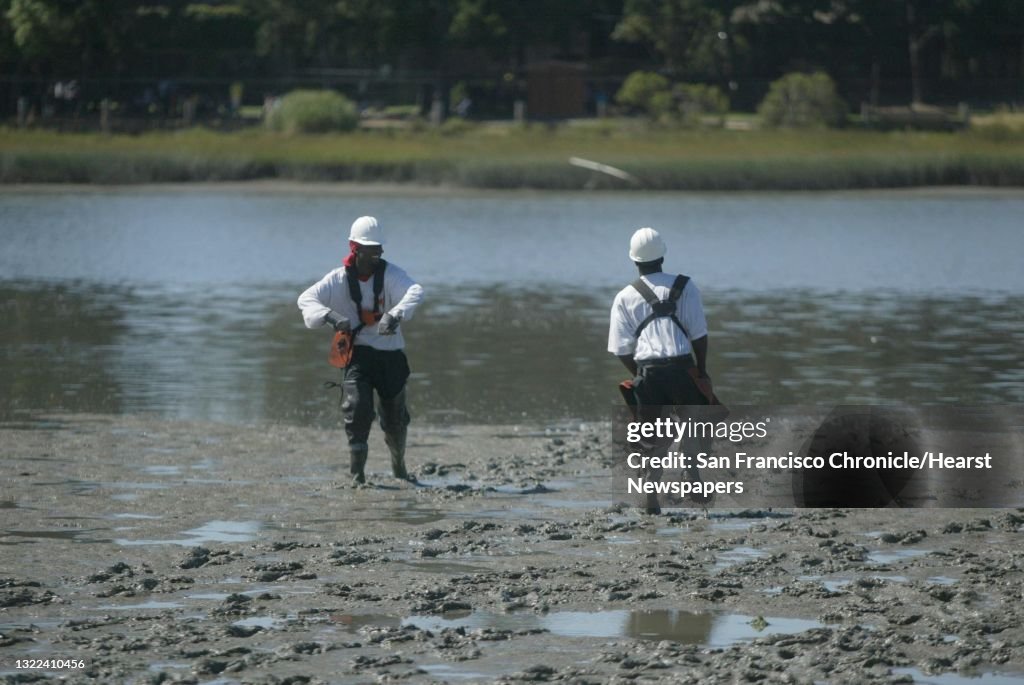 Spartinaxx002_ls.JPG From left: Tyrone James, didn't want age published, of Oakland flexes his muscles at Damon Hartley, 18, of Oakland as the two have a contest as to who can walk out the farthest from the shoreline into the Bay during a brea